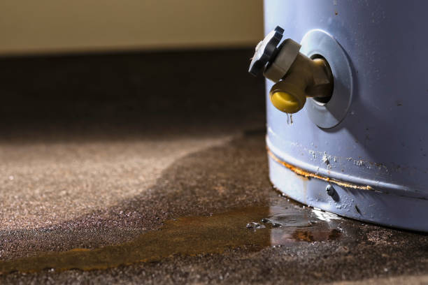 Best Flood damage cleanup  in Castle Pines Village, CO
