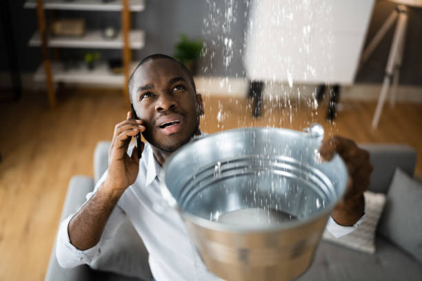 Best Water damage contractors near me  in Castle Pines Village, CO