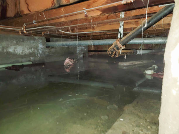Trusted Castle Pines Village, CO Water damage restoration Experts
