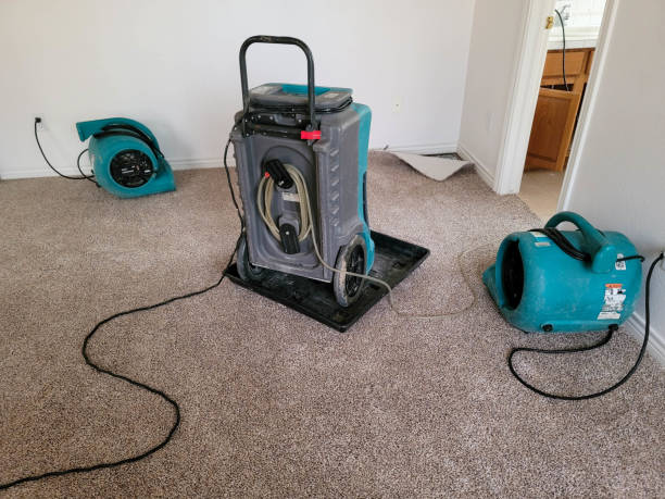  Castle Pines Village, CO Water damage restoration Pros
