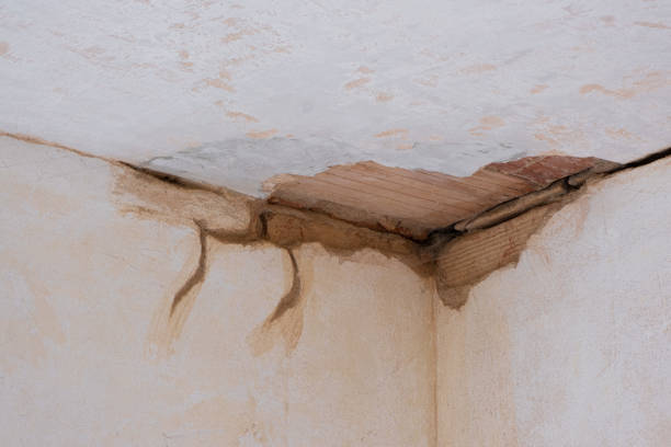 Best Commercial water damage restoration  in Castle Pines Village, CO