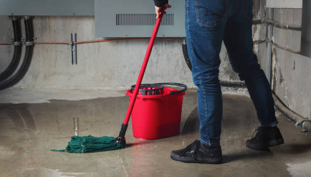 Best Fire Damage Restoration  in Castle Pines Village, CO