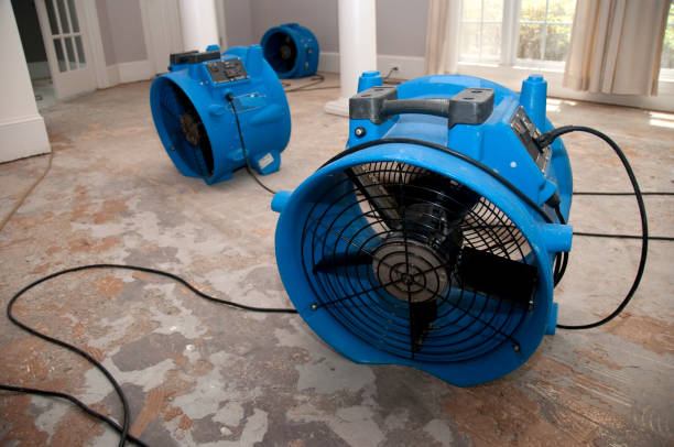 Best Professional water damage repair  in Castle Pines Village, CO