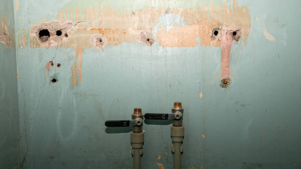 Best Basement water damage restoration  in Castle Pines Village, CO