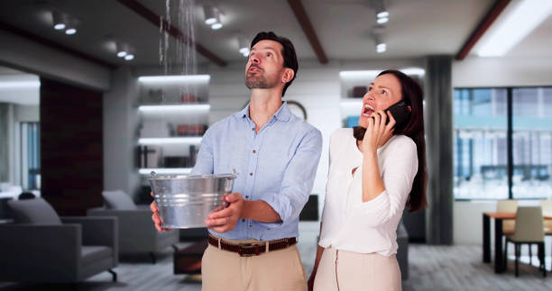 Best Water damage restoration near me  in Castle Pines Village, CO